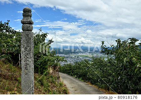 百六十三町石の高野山町石道　【和歌山県九度山町】 80918176