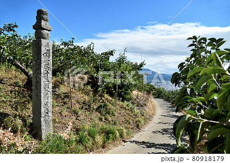 百六十三町石の高野山町石道 【和歌山県九度山町】 百六十三町石の高野山町石道 【和歌山県九度山町】 80918179