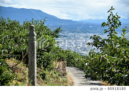 百六十三町石の高野山町石道　【和歌山県九度山町】 80918180