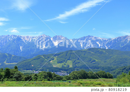 白馬村　野平から望む夏の白馬三山 80918219
