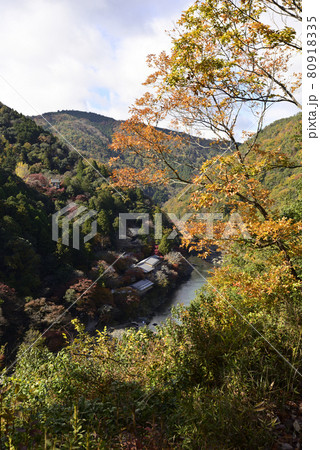 嵐山展望台より望む保津峡谷 嵐山展望台より望む保津峡谷 80918335
