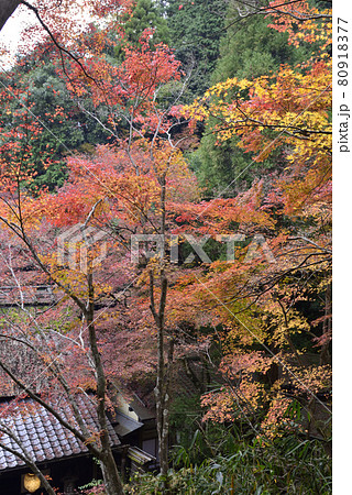 鮎茶屋　平野屋 80918377