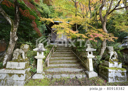 護法堂弁財天　紅葉 80918382