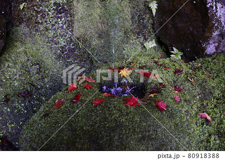 護法堂弁財天　紅葉 80918388