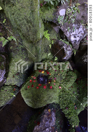 護法堂弁財天　紅葉 80918393