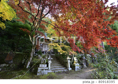 護法堂弁財天 紅葉 護法堂弁財天 紅葉 80918395