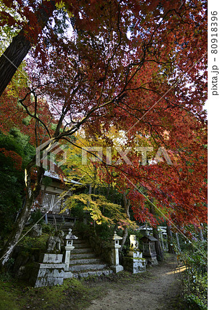 護法堂弁財天　紅葉 80918396