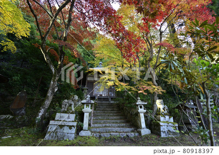 護法堂弁財天　紅葉 80918397