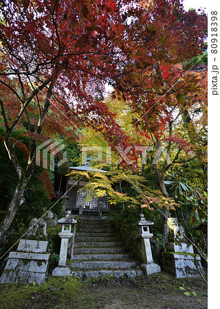 護法堂弁財天 紅葉 護法堂弁財天 紅葉 80918398