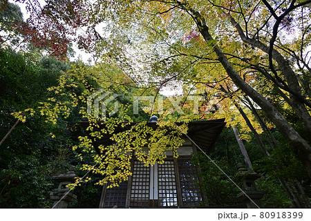 護法堂弁財天　紅葉 80918399