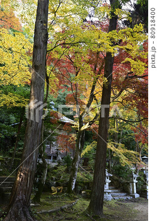 護法堂弁財天　紅葉 80918400