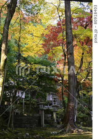 護法堂弁財天　紅葉 80918403