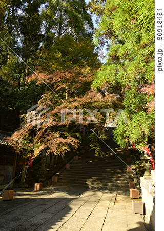 虚空蔵法輪寺　山門 80918434