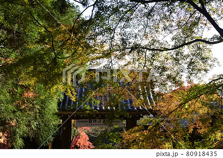 虚空蔵法輪寺　山門 80918435