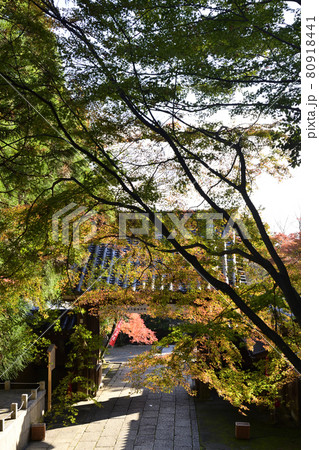 虚空蔵法輪寺 山門 虚空蔵法輪寺 山門 80918441