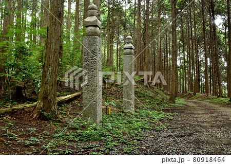 高野山町石道の百四十四町石(左)と一里石(右) 高野山町石道の百四十四町石(左)と一里石(右) 80918464