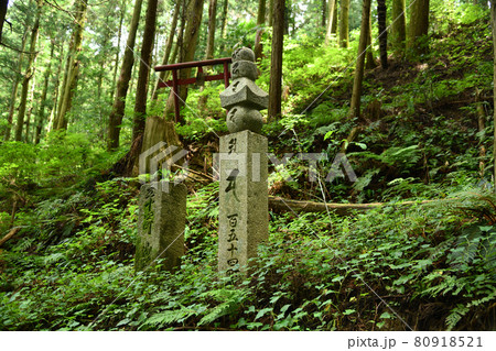 高野山町石道の雨引山入口に立つ百五十四町石 高野山町石道の雨引山入口に立つ百五十四町石 80918521