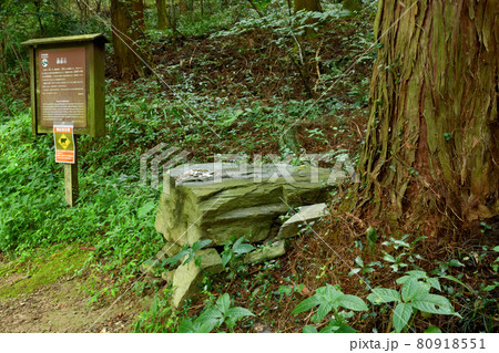 高野山町石道 銭壺石 高野山町石道 銭壺石 80918551