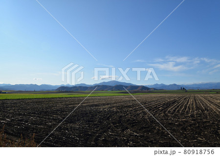 北海道 十勝の風景 80918756