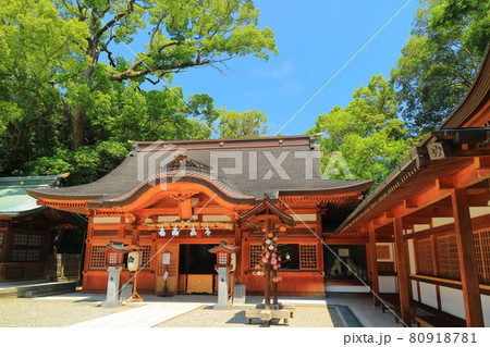 【愛媛県】快晴下の児守神社（椿神社） 80918781