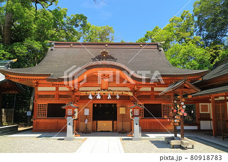 【愛媛県】快晴下の児守神社(椿神社) 【愛媛県】快晴下の児守神社(椿神社) 80918783