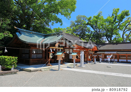 【愛媛県】快晴下の児守神社（椿神社） 80918792