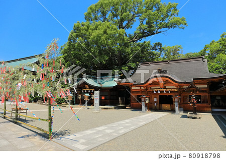 【愛媛県】快晴下の児守神社（椿神社） 80918798