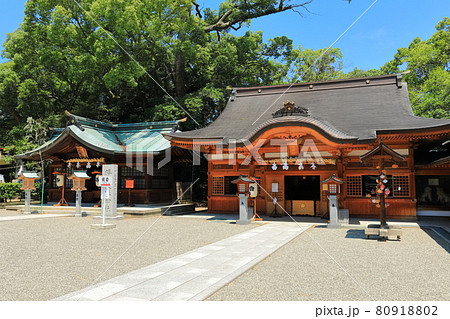 【愛媛県】快晴下の児守神社（椿神社） 80918802