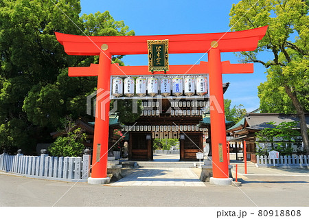 【愛媛県】快晴下の椿神社の大鳥居 【愛媛県】快晴下の椿神社の大鳥居 80918808