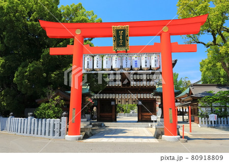 【愛媛県】快晴下の椿神社の大鳥居 80918809