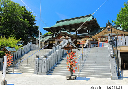 【愛媛県】快晴下の椿神社の拝殿 80918814