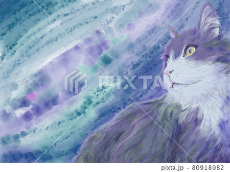 モネの色の猫 80918982