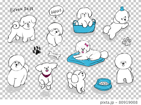 Hand-drawn dog set illustration animal hospital Hand-drawn dog set illustration animal hospital 80919008
