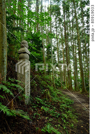 高野山町石道 百四十八町石 高野山町石道 百四十八町石 80919033