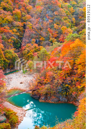 白砂渓谷（秋） 80919112