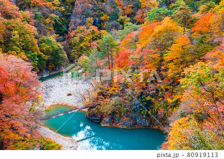 白砂渓谷（秋） 80919113