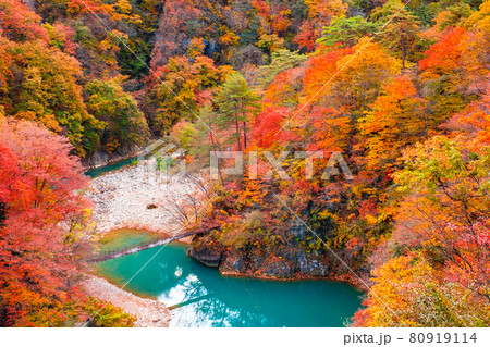 白砂渓谷（秋） 80919114