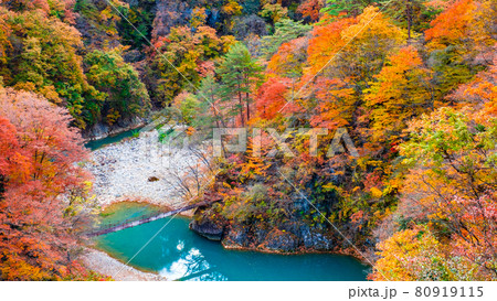 白砂渓谷（秋） 80919115