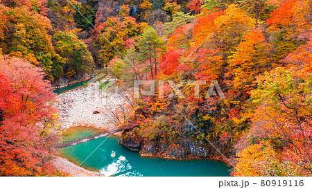 白砂渓谷（秋） 80919116