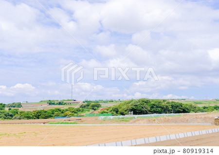 神奈川県三浦半島の自然風景 80919314