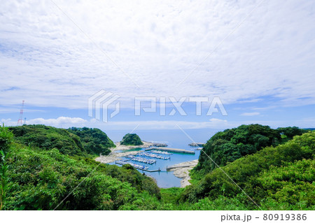 神奈川県三浦半島の自然風景 神奈川県三浦半島の自然風景 80919386