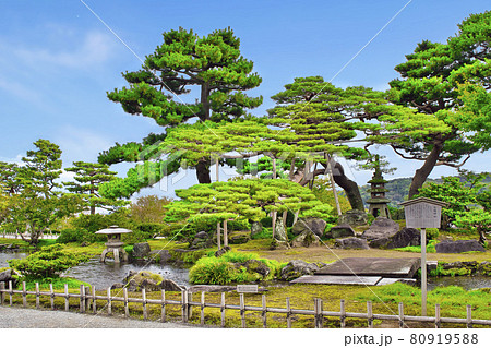 金沢市 兼六園 七福神山(しちふくじんやま) 金沢市 兼六園 七福神山(しちふくじんやま) 80919588