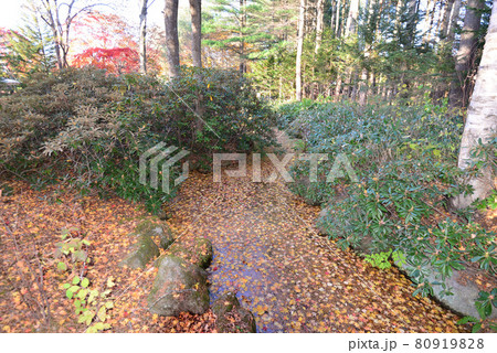 晩秋の真鍋庭園(北海道帯広市) 80919828