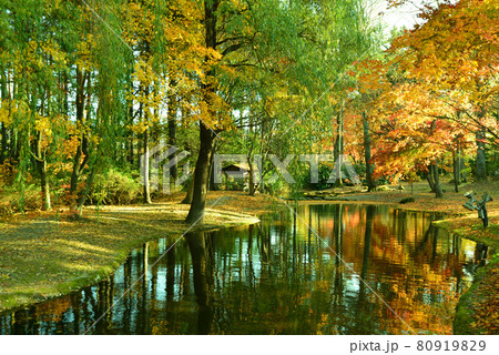 晩秋の真鍋庭園(北海道帯広市) 80919829