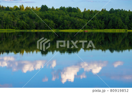 Beautiful summer landscape. View of the lake and forest. 80919852