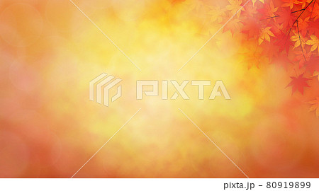 紅葉 背景素材 紅葉 背景素材 80919899