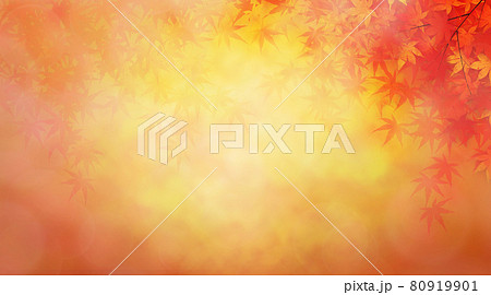 紅葉 背景素材 紅葉 背景素材 80919901
