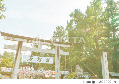 多賀大社・万灯祭5 80920219