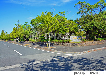 福岡県の行橋総合公園入口と青空 80920509