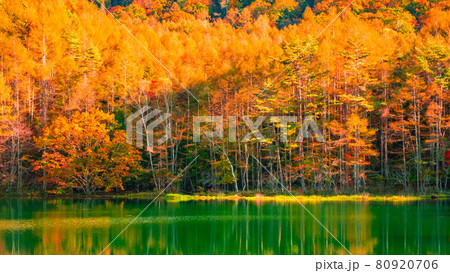 御射鹿池（秋） 80920706